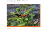 Calculus Explorations of Milkweed & Monarchs