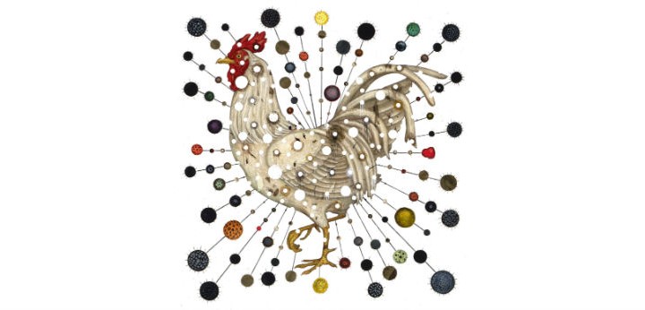 What You Get When You Mix Chickens, China, and Climate Change. Artwork Credit: Jason Holley/New York Times.