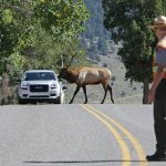 "Is Ecotourism Helping or Hurting our National Parks?" Photo Credit: Jim Peaco