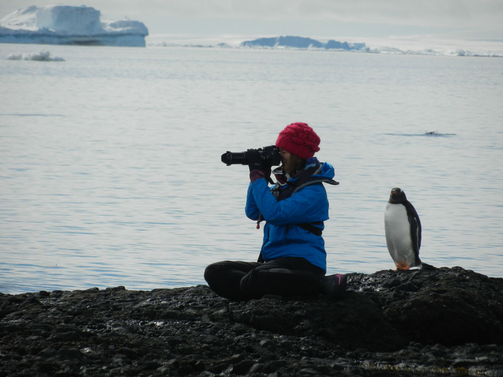 This photograph was submitted by Chris Parsons, Associate Professor in the Department of Environmental Science & Policy at George Mason University. Chris ran a field course for undergraduate and graduate students to Antarctica. Pictured is his graduate student Samantha Oester, who is photographing penguins.