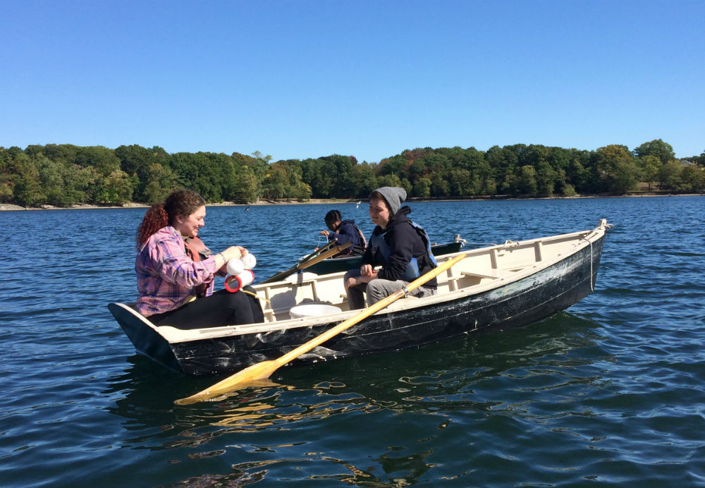 This photograph was submitted by Lisa Lobel, Assistant Professor in the Department of Mathematics and Sciences at Wheelock College. These students are collecting phytoplankton and measuring temperature, dissolved oxygen, and nutrients at different depths to assess the vertical heterogeneity of Jamaica Pond in Boston.